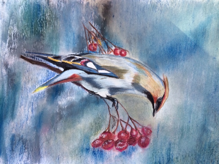 Bird and Cranberries